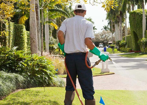 About Sun City FL Pest Control